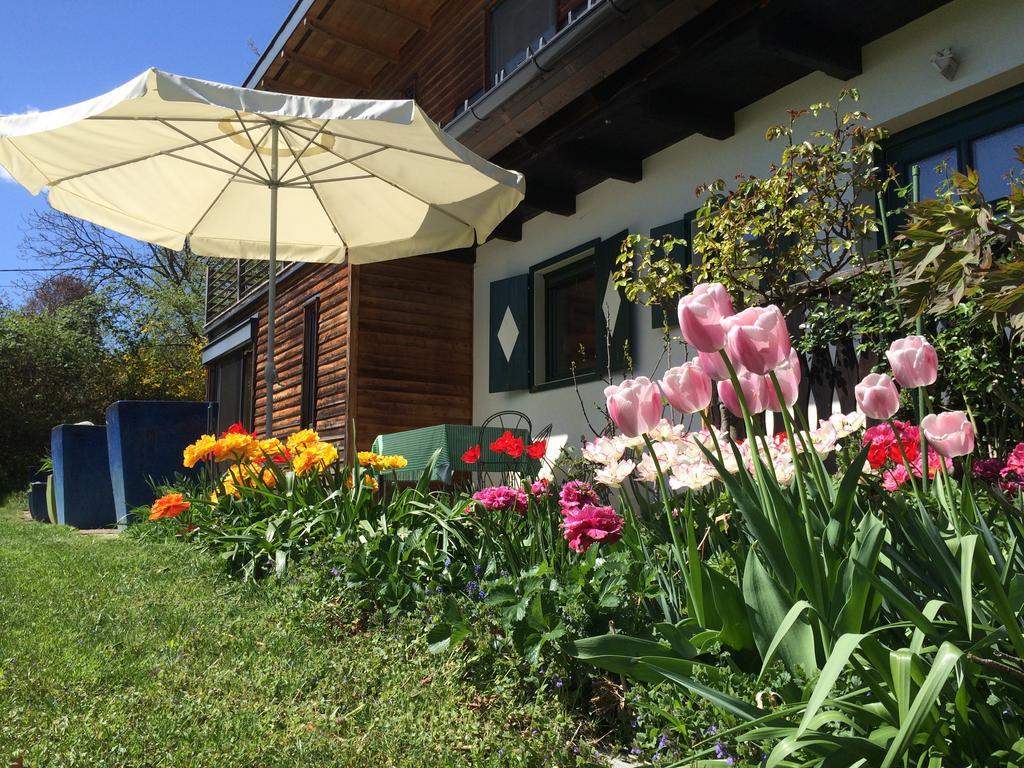Ferienhaus Blumenparadies Stainz Kültér fotó